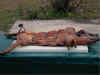 BBQGA-Last Picture.jpg (14510 bytes)