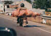 PigonBike3.jpg (46644 bytes)